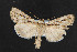  ( - NOC14799)  @14 [ ] Unspecified (default): All Rights Reserved  Unspecified Unspecified