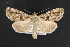  ( - NOC14800)  @14 [ ] Unspecified (default): All Rights Reserved  Unspecified Unspecified