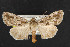  ( - NOC14801)  @13 [ ] Unspecified (default): All Rights Reserved  Unspecified Unspecified