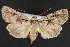  ( - NOC14802)  @14 [ ] Unspecified (default): All Rights Reserved  Unspecified Unspecified