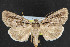  ( - NOC14803)  @14 [ ] Unspecified (default): All Rights Reserved  Unspecified Unspecified