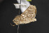  ( - NOC14816)  @12 [ ] Unspecified (default): All Rights Reserved  Unspecified Unspecified