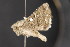  ( - NOC14817)  @12 [ ] Unspecified (default): All Rights Reserved  Unspecified Unspecified