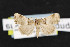  ( - NOC14829)  @13 [ ] Unspecified (default): All Rights Reserved  Unspecified Unspecified