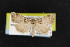  ( - NOC14830)  @13 [ ] Unspecified (default): All Rights Reserved  Unspecified Unspecified