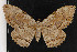  ( - NOC14843)  @14 [ ] Unspecified (default): All Rights Reserved  Unspecified Unspecified