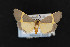  ( - CNC LEP00054167)  @14 [ ] Unspecified (default): All Rights Reserved  Unspecified Unspecified