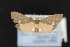  ( - CNC LEP00054170)  @13 [ ] Unspecified (default): All Rights Reserved  Unspecified Unspecified