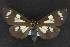  ( - CNC LEP00054183)  @12 [ ] Unspecified (default): All Rights Reserved  Unspecified Unspecified