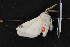  ( - CNC LEP00054218)  @11 [ ] Unspecified (default): All Rights Reserved  Unspecified Unspecified