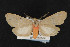  ( - CNC LEP00054220)  @14 [ ] Unspecified (default): All Rights Reserved  Unspecified Unspecified