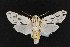  ( - CNC LEP00054221)  @11 [ ] Unspecified (default): All Rights Reserved  Unspecified Unspecified