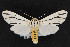  ( - CNC LEP00054222)  @13 [ ] Unspecified (default): All Rights Reserved  Unspecified Unspecified