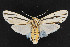  ( - CNC LEP00054224)  @14 [ ] Unspecified (default): All Rights Reserved  Unspecified Unspecified