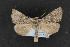  ( - CNC LEP00054226)  @14 [ ] Unspecified (default): All Rights Reserved  Unspecified Unspecified
