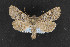  ( - CNC LEP00054227)  @14 [ ] Unspecified (default): All Rights Reserved  Unspecified Unspecified