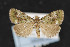  ( - CNC LEP00054231)  @14 [ ] Unspecified (default): All Rights Reserved  Unspecified Unspecified