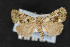  (Lithacodia musta group - CNC LEP00054232)  @14 [ ] Unspecified (default): All Rights Reserved  Unspecified Unspecified