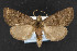  ( - CNC LEP00054233)  @12 [ ] Unspecified (default): All Rights Reserved  Unspecified Unspecified