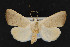  ( - CNC LEP00054240)  @13 [ ] Unspecified (default): All Rights Reserved  Unspecified Unspecified
