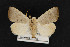  ( - CNC LEP00054250)  @14 [ ] Unspecified (default): All Rights Reserved  Unspecified Unspecified