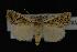  ( - NOC14101)  @12 [ ] Unspecified (default): All Rights Reserved  Unspecified Unspecified