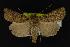  ( - NOC14104)  @14 [ ] Unspecified (default): All Rights Reserved  Unspecified Unspecified