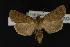  ( - NOC14120)  @13 [ ] Unspecified (default): All Rights Reserved  Unspecified Unspecified