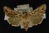  ( - NOC14127)  @14 [ ] Unspecified (default): All Rights Reserved  Unspecified Unspecified
