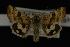  ( - NOC14128)  @13 [ ] Unspecified (default): All Rights Reserved  Unspecified Unspecified