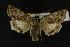  ( - NOC14137)  @13 [ ] Unspecified (default): All Rights Reserved  Unspecified Unspecified
