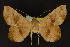  ( - NOC14143)  @14 [ ] Unspecified (default): All Rights Reserved  Unspecified Unspecified