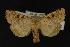  ( - NOC14156)  @13 [ ] Unspecified (default): All Rights Reserved  Unspecified Unspecified