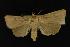  ( - NOC14163)  @13 [ ] Unspecified (default): All Rights Reserved  Unspecified Unspecified