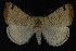  ( - NOC14191)  @13 [ ] Unspecified (default): All Rights Reserved  Unspecified Unspecified