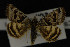  ( - NOC14192)  @13 [ ] Unspecified (default): All Rights Reserved  Unspecified Unspecified