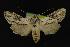  ( - NOC14217)  @14 [ ] Unspecified (default): All Rights Reserved  Unspecified Unspecified