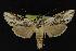  ( - NOC14218)  @14 [ ] Unspecified (default): All Rights Reserved  Unspecified Unspecified