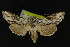 ( - NOC14219)  @13 [ ] Unspecified (default): All Rights Reserved  Unspecified Unspecified