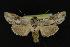  ( - NOC14220)  @14 [ ] Unspecified (default): All Rights Reserved  Unspecified Unspecified