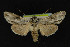  ( - NOC14220)  @14 [ ] Unspecified (default): All Rights Reserved  Unspecified Unspecified