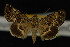  ( - NOC14221)  @14 [ ] Unspecified (default): All Rights Reserved  Unspecified Unspecified