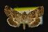  ( - NOC14222)  @14 [ ] Unspecified (default): All Rights Reserved  Unspecified Unspecified