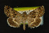  ( - NOC14222)  @14 [ ] Unspecified (default): All Rights Reserved  Unspecified Unspecified