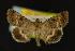  ( - NOC14223)  @12 [ ] Unspecified (default): All Rights Reserved  Unspecified Unspecified