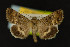  ( - NOC14223)  @12 [ ] Unspecified (default): All Rights Reserved  Unspecified Unspecified