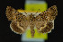  ( - NOC14224)  @14 [ ] Unspecified (default): All Rights Reserved  Unspecified Unspecified