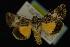  ( - NOC14241)  @13 [ ] Unspecified (default): All Rights Reserved  Unspecified Unspecified