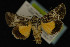  ( - NOC14241)  @13 [ ] Unspecified (default): All Rights Reserved  Unspecified Unspecified