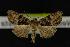  ( - NOC14255)  @13 [ ] Unspecified (default): All Rights Reserved  Unspecified Unspecified